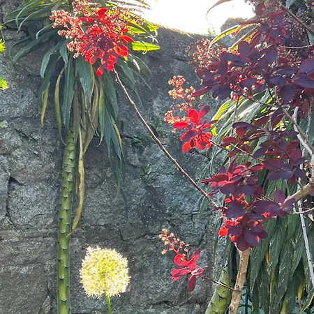 Pansiyon King Bedroom En-suit Bathroom, Easy To Centre