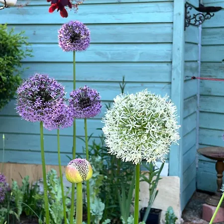 Проживание в семье King Bedroom En-suit Bathroom, Easy To Centre Foxrock