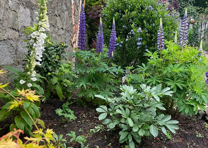 Homestay szállás King Bedroom En-suit Bathroom, Easy To Centre *