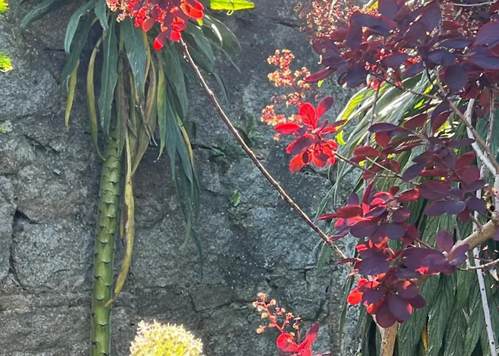 Homestay szállás King Bedroom En-suit Bathroom, Easy To Centre